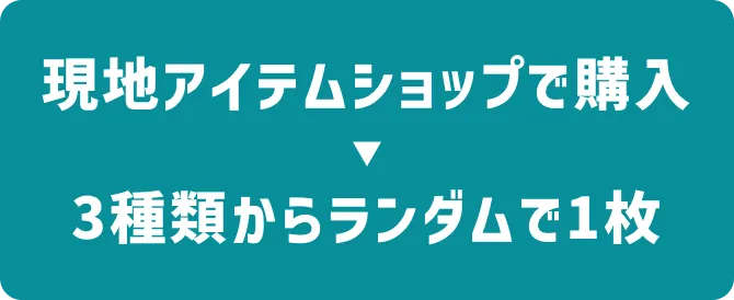 現地アイテムショップで購入→3種類からランダムで1枚